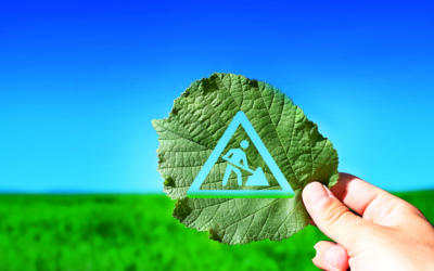 Building a Greener Tomorrow: The Rise of Environmental Sustainability in Construction